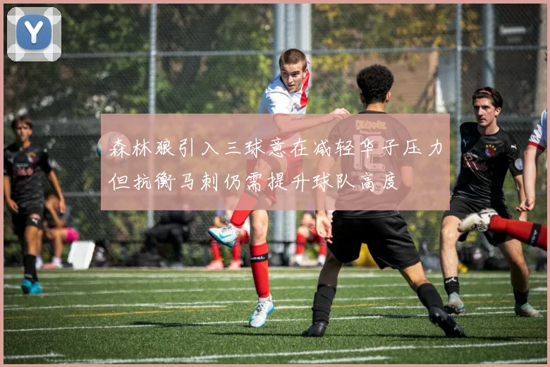 森林狼引入三球意在减轻华子压力但抗衡马刺仍需提升球队高度